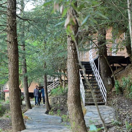 Aamod At Shoghi Luxury Cottage Resort Simlá Kültér fotó