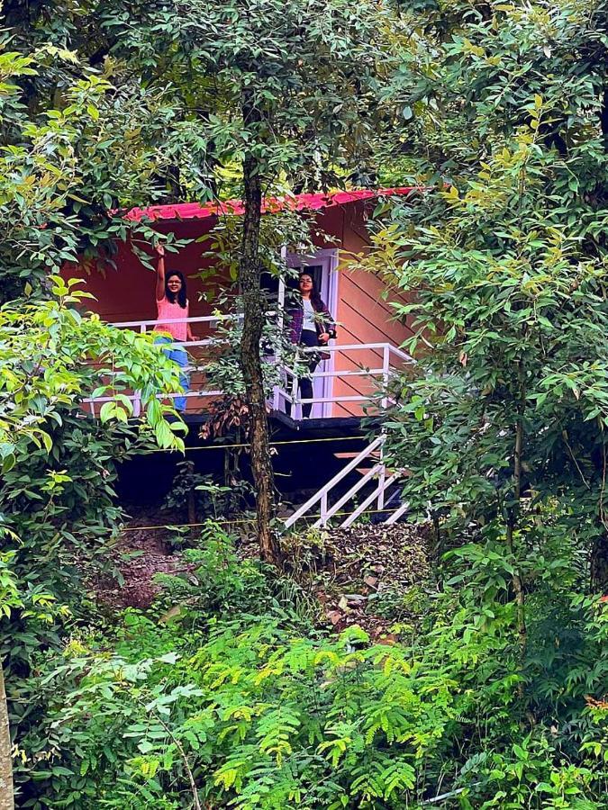 Aamod At Shoghi Luxury Cottage Resort Simlá Kültér fotó