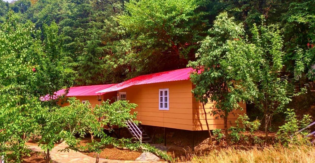 Aamod At Shoghi Luxury Cottage Resort Simlá Kültér fotó
