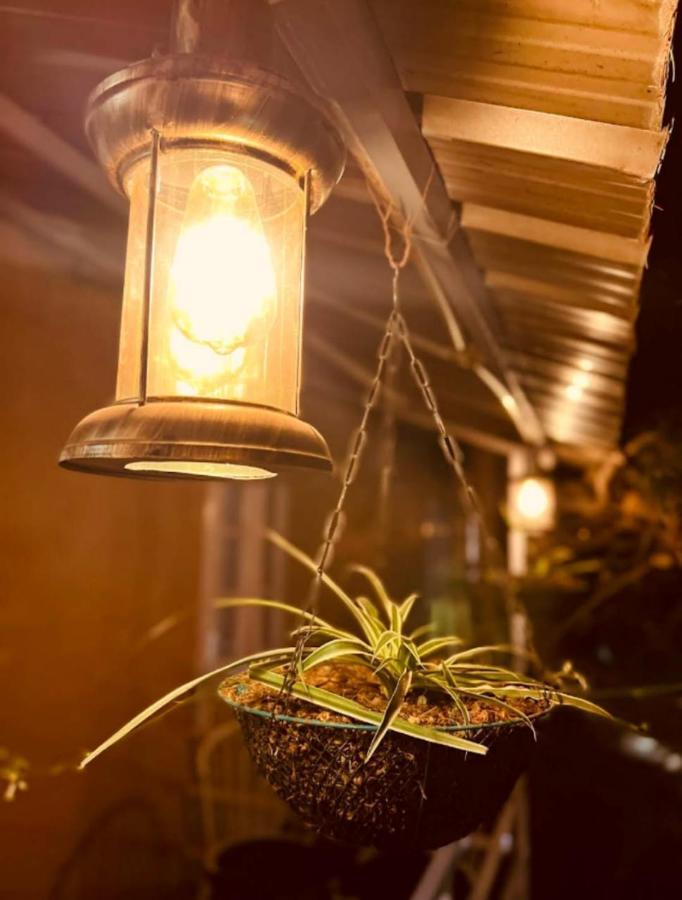 Aamod At Shoghi Luxury Cottage Resort Simlá Kültér fotó