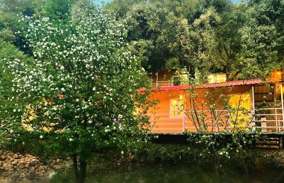 Aamod At Shoghi Luxury Cottage Resort Simlá Kültér fotó