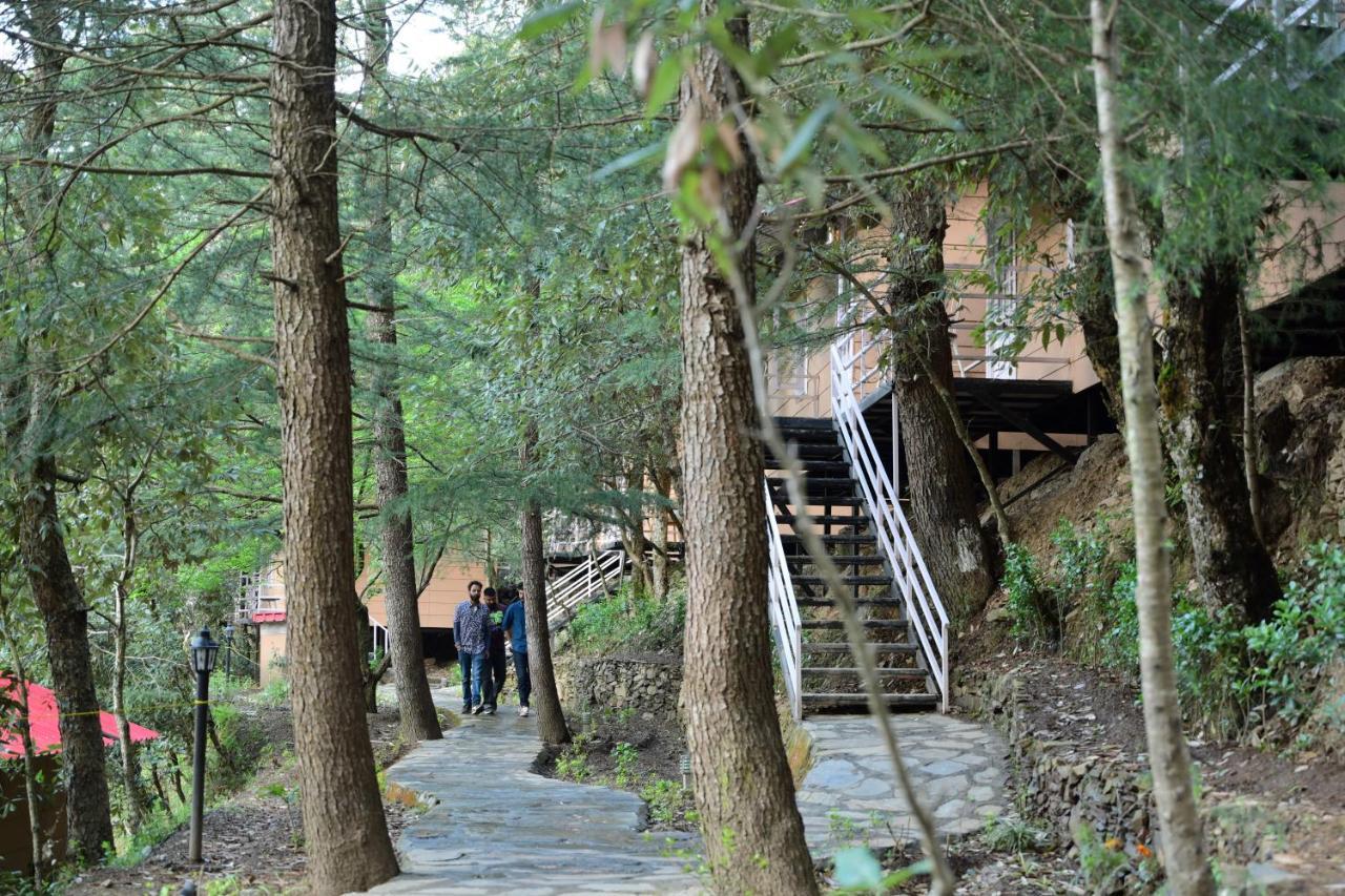 Aamod At Shoghi Luxury Cottage Resort Simlá Kültér fotó