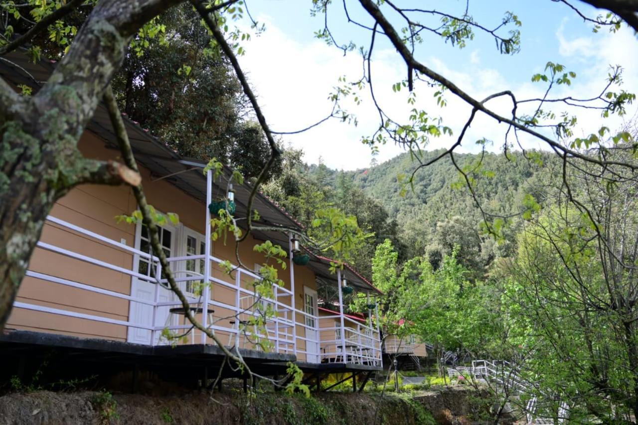 Aamod At Shoghi Luxury Cottage Resort Simlá Kültér fotó